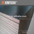 TOP Grade F17 1200 * 1800 * 17MM contreplaqué structurel pour le marché des Fidji depuis la Chine